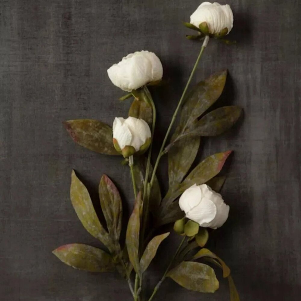 Michael's Ashland Cream Peony Stems Set of 8